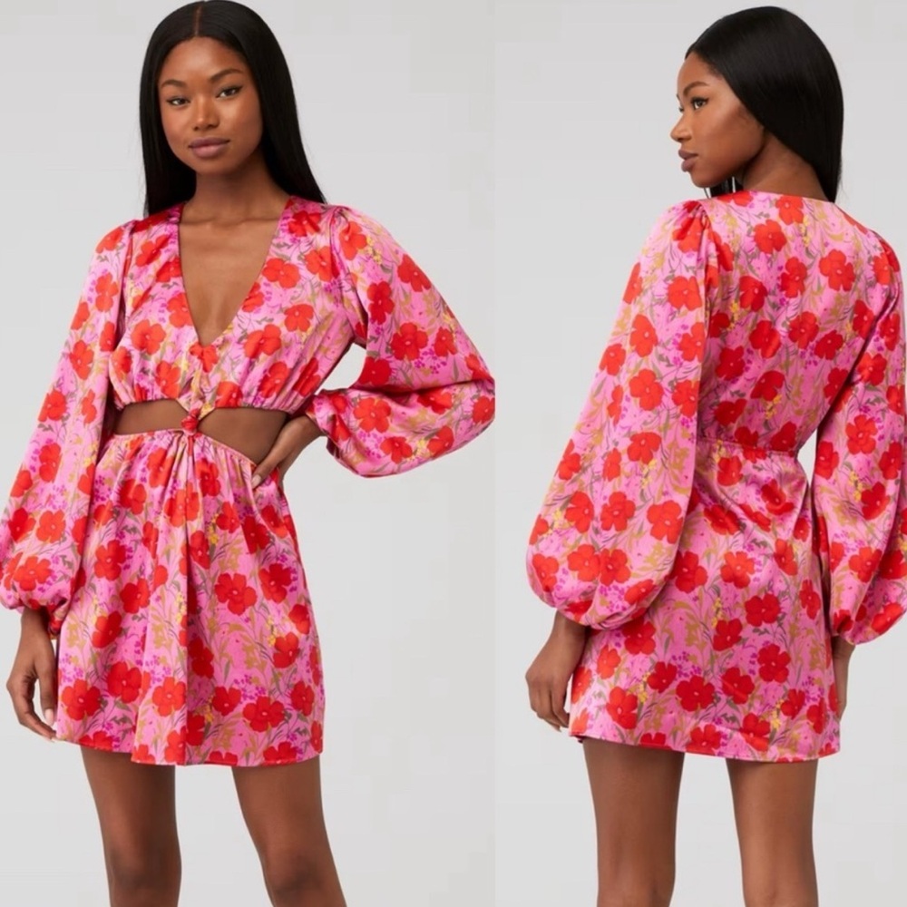 Show Me Your Mumu Christina Dress